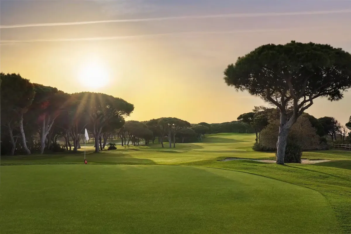 Golf fairway and pine trees in warm evening light at Pine Cliffs.