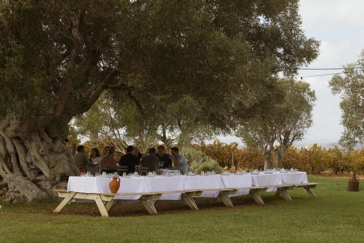 Long lunch tables beneath olive trees at Morgado do Quintão.