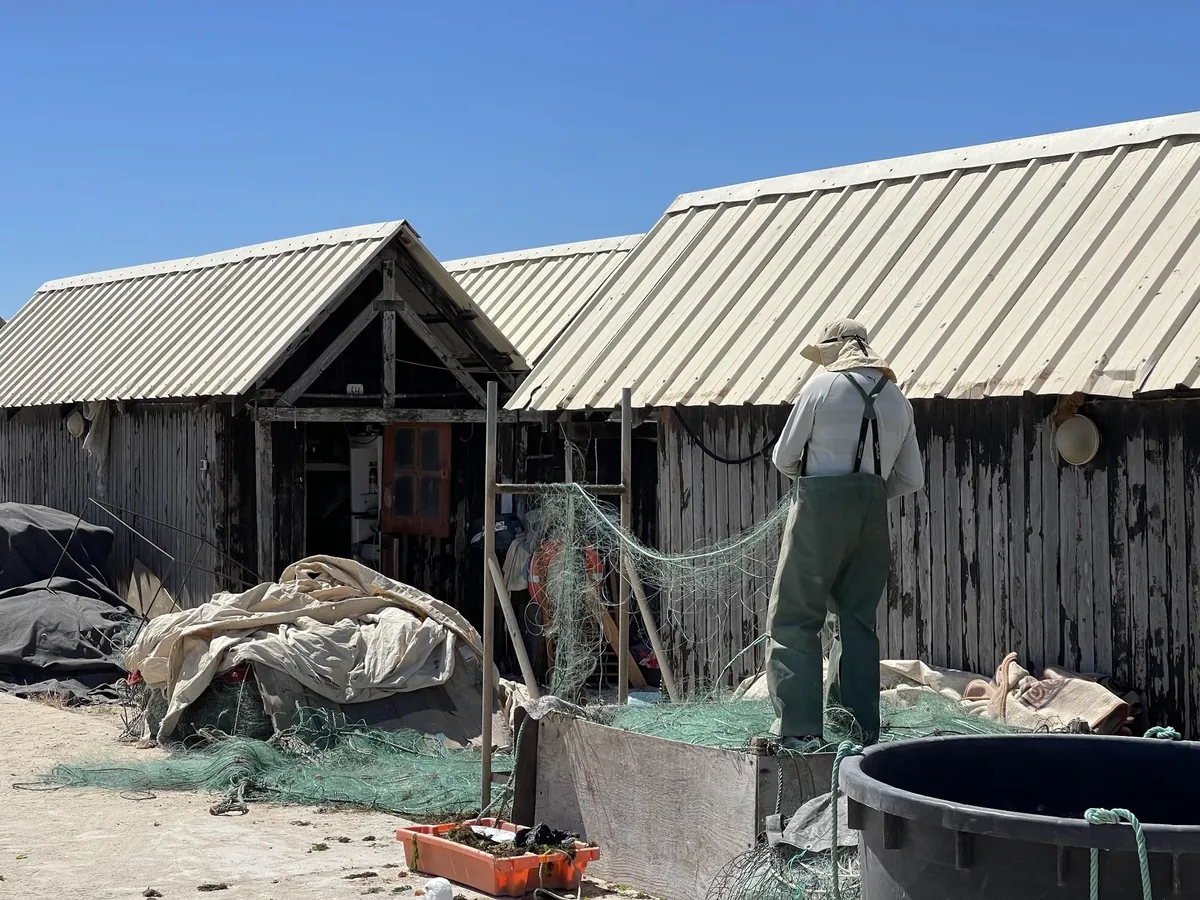 Fisher working with nets outside wooden sheds on Culatra.