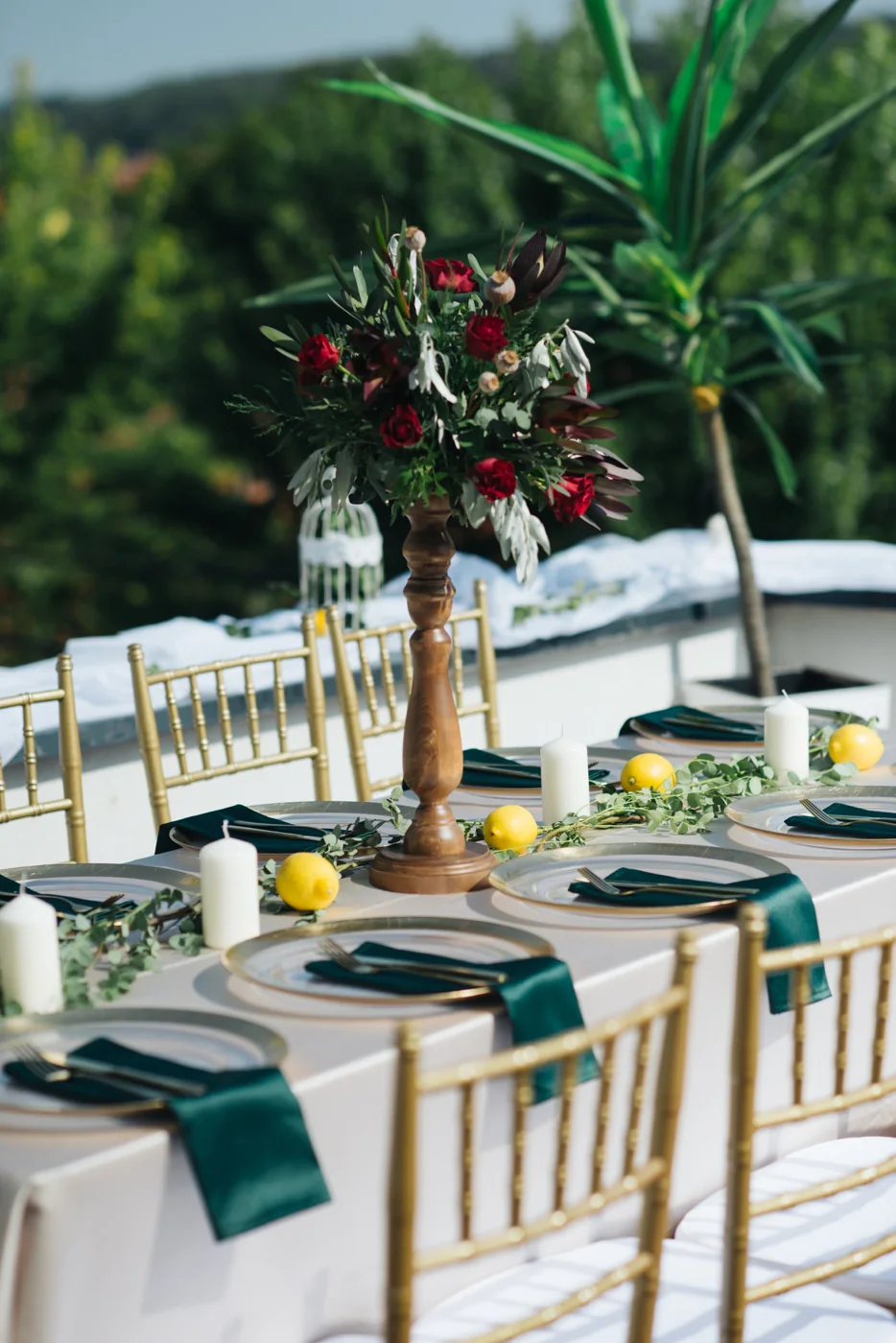 Outdoor dining table arranged for an event among trees.