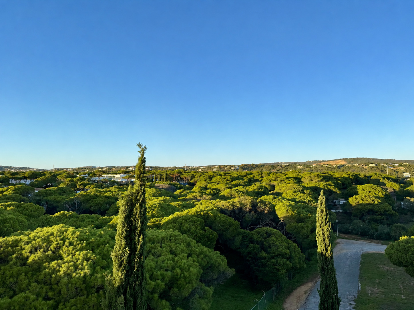 Vista panorâmica sobre o pinhal de Vilamoura